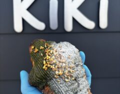4月18日(土)より、抹茶アーモンドクロワッサン・タンドリーチキンサンド・バジリコチキンサンドを販売いたします。