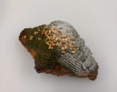 抹茶アーモンドクロワッサン 画像